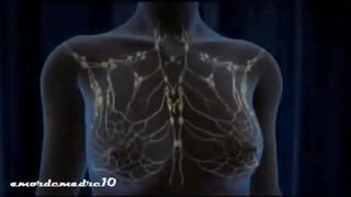 4. Tocarse los senos te puede salvar la vida- auto exploración