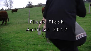 1. FlashFlesh Aurillac 2013