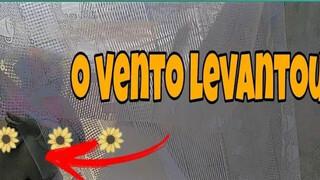 levantou