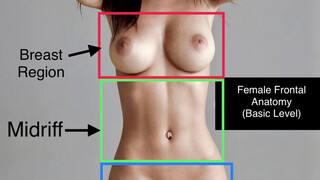 2. Female Frontal Anatomy – Basic – Infomatic
