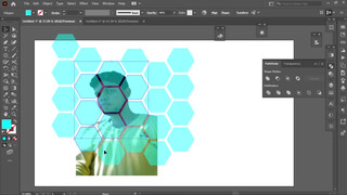 8. How to do Clipping mask in illustrator | animaker2