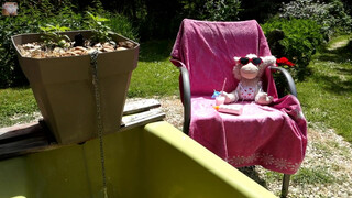 1. IN AN APRON ALONE IN HER GARDEN SOCOLA CLEANING HER BATH IN A BIKINI