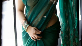 4. Indian model in transparent saree
