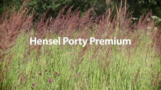 1. Hensel Porty Premium