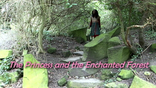 1. The Princess and the Enchanted Forest