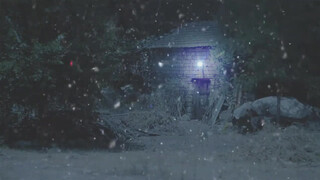9. 15 Minutes of Relaxing Snowfall Ambience