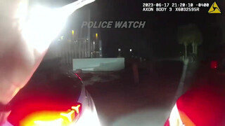 2. BodyCam: Parenting Gone Wrong, Drunk Mom Gets Arrested and Loses Custody of Her Children