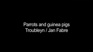 1. 2002 Parrots and Guinea Pigs