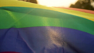 5. Down That Rabbit Hole