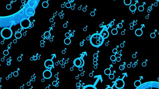 2. Down That Rabbit Hole