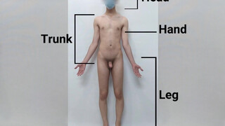 5. real male anatomy tutorial, anatomy of nude man body (Danieltp2002)