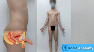 real male anatomy tutorial, anatomy of nude man body (Danieltp2002)