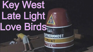 Key West – Late Night Love Birds – 5/31/23