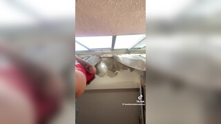 4. November 11, 2023