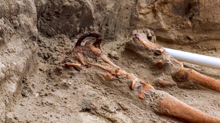 5. Female Vampire Grave Discovered In Poland From 17th Century | Unearthing The Mystery