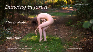 1. Art video: Dancing in forest by Amit Bar