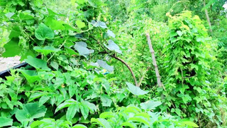3. চান করা গ্রামের ব্লক 2023 || Bangla Status || Vlogs Video || Puja Blog