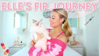 My Cat’s Battle Against FIP | Elle’s Storytime, Injections, Pills, Observation and A CURE!