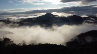 1. Off Grid Life in an Ancient Volcano: Restoring the Rainforest