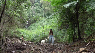 3. Off Grid Life in an Ancient Volcano: Restoring the Rainforest