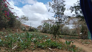 7. My country side routing here in Kenyan/Bathing out side