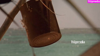 4. English Actress Kelly Brook Film Survival Island Three (2005) – Beach Scene p2