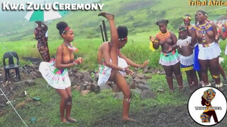 Kwa Zulu Tribe Ceremony Traditional Zulu African Dance