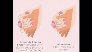 1. How to get milk from the breasts, the way doctors teach. Unique Educational Purpose. Hospital GSBM.