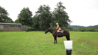 8. Homestead Beauties 2018!