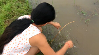 5. Amazing girl Fishing, Khmer Real Life Fishing At Siem Reap Cambodia