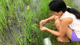 6. Amazing girl Fishing, Khmer Real Life Fishing At Siem Reap Cambodia