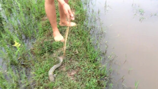 9. Amazing girl Fishing, Khmer Real Life Fishing At Siem Reap Cambodia