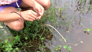 3. Amazing girl Fishing, Khmer Real Life Fishing At Siem Reap Cambodia