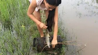 Amazing girl Fishing, Khmer Real Life Fishing At Siem Reap Cambodia