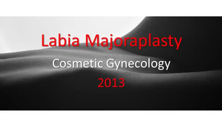 1. Labia Majoraplasty 2013