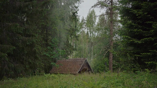 9. Smoke Sauna Sisterhood – Official Trailer