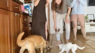4. Alex, Kate and Morgan feed the dogs in quarantine