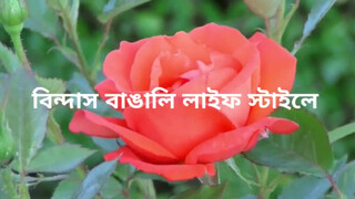 1. Bengali Blog #bed and balcony cleaning blog /???? cleaning blog /desi style hot cleaning blog //