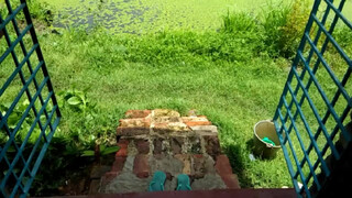9. Bengali Blog #bed and balcony cleaning blog /???? cleaning blog /desi style hot cleaning blog //