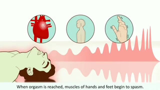 8. male orgasm • How does it work? Explaining the male orgasm and its characteristics