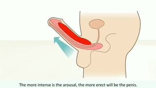 3. male orgasm • How does it work? Explaining the male orgasm and its characteristics