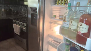 9. Cleaning My Fridge ( No Bra / No Panties ) #2