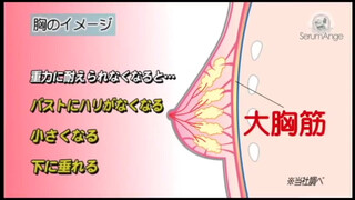 3. セラムアンジェでおっぱいリフトアップ