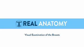 1. Real Female Anatomy – Visual Examination of the Breasts