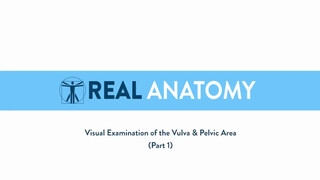 1. Real Female Anatomy – Visual Examination of the Vulva & Pelvic Areas – Part 1