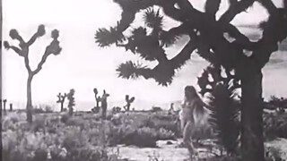 5. Нимфы пустыни / Desert Nymphs 1928