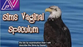 1. Sims Vaginal Speculum …