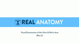 1. Female Anatomy || Vulva & Pelvic Area Examination || Nude Photoshoot Tutorial