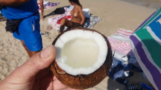 Fresh cutted coconut on the beach – Ibiza