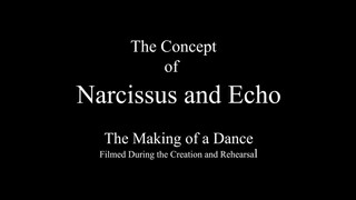 1. The concept of narcissus and echo